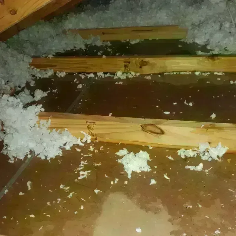 Attic Water Damage in Van Nuys, CA